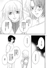 [Berry & Precious] Koyoi Ichiya (Gundam SEED DESTINY)