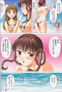 (C64) [Gourmet Puff-puff (Dr.momo)] TRIPLE EXS (Dead or Alive)