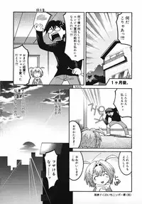 [Himehachi] Radical Vector
