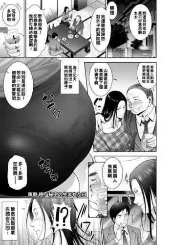 长城小队（下）