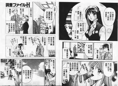 Chousa File H - Investigation File