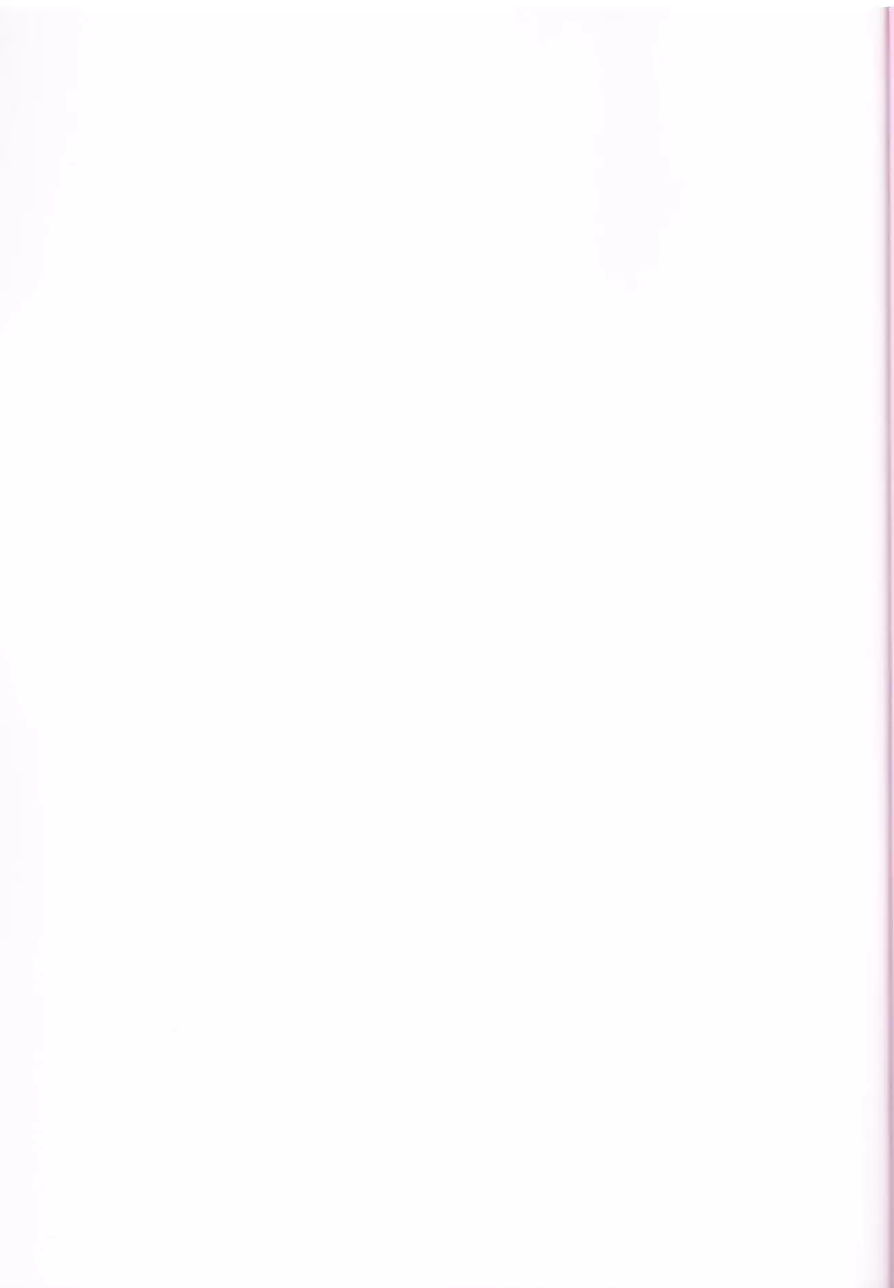 Kira Mina Escalation