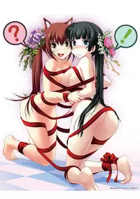 Maji de Watashi ni Koi Shinasai Visual Fan Book