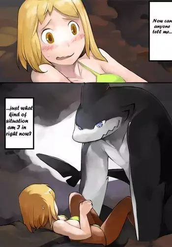 Boin Shark