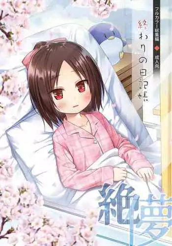 円城さんと国松先輩の勉強会の様子