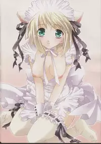 (C63) [TOTSUGEKI WOLF(Yuhki Mitsuru)] DENGEKI-KEI