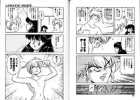 [Mii Akira] Lunatic Night 3
