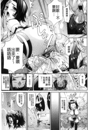 武装戦姫～触悦の贄～