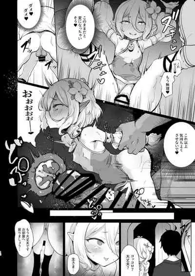 Kokkoro Choukyou NTR