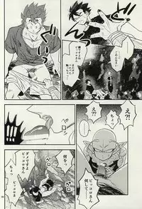 同じ星で生まれた (DRAGON BALL Z)