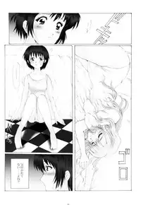(SC13) [Neko to Hato (Hatoya)] Amour version NOIR (Noir)