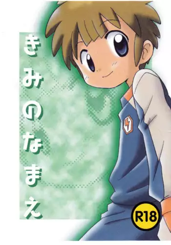 (Seishun Cup 21) [Numadax (Numada)] Suteki na Yume o (Inazuma Eleven)