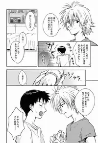 (C80) [Cassino (Magarikoji Lily)] LOCK'N' UP! (Neon Genesis Evangelion)