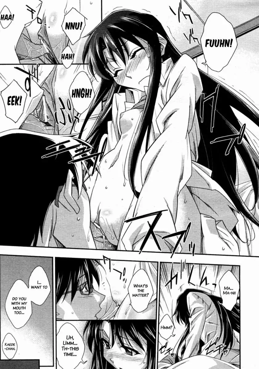 Tsuntsun and Box Lunch