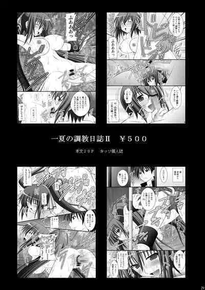 Otome Kunoichi Monzetsu Goumon Jigoku Emaki - Inran Mode Sono Ni "Ikaruga Yagyuu Hibari Hen"