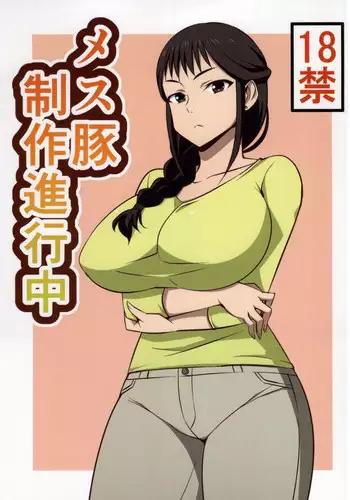 (COMIC1?9) [Mattari House (Aitsu)] Mesu Buta Seisaku Shinkouchuu (SHIROBAKO)