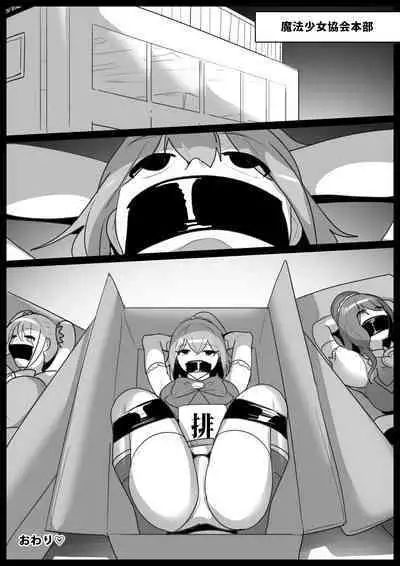 Mahou Shoujo ga Jinkaku Haisetsu Saserare Hako ni Tsumerareru Ohanashi
