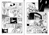 [Mii Akira] Lunatic Night 3