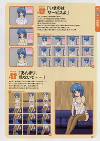 Super Real Mahjong Visual Fan Book Perfect Collection