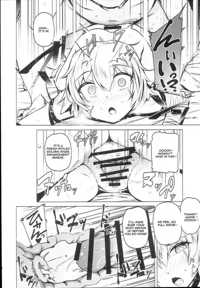 Chaldea Supporter