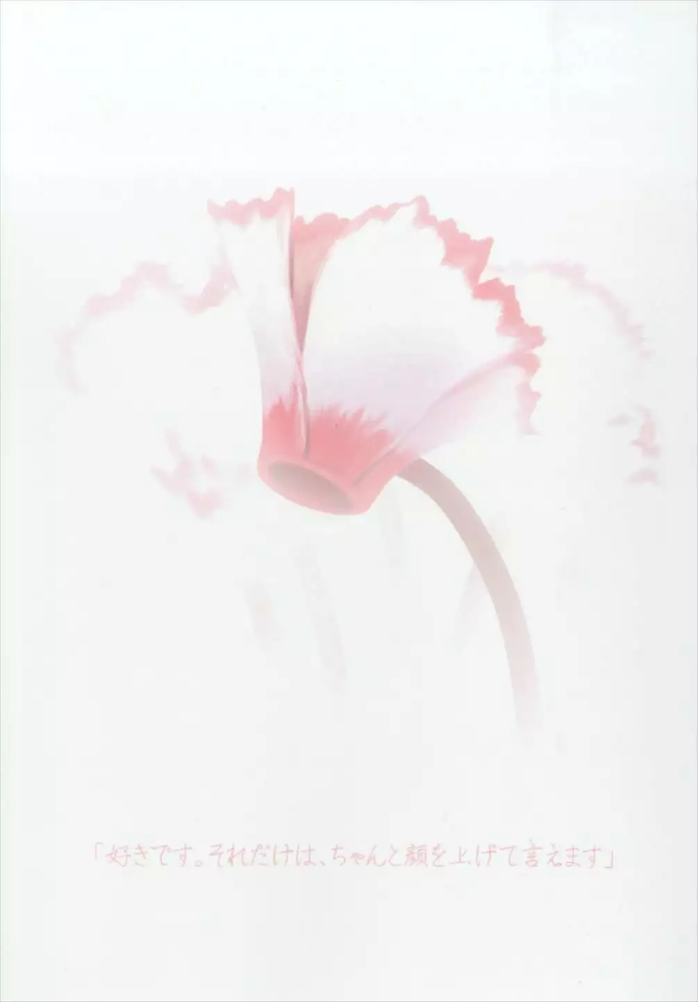 Cyclamen
