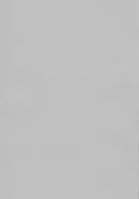 (C82) [Ash Wing (Makuro)] Usa Nyan 2