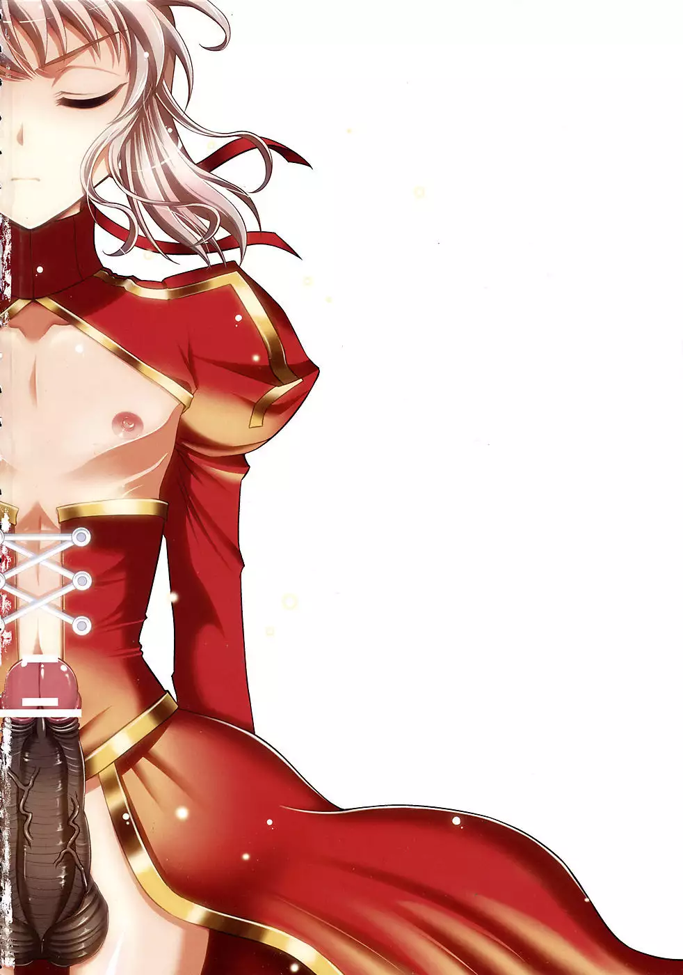 Saber ni Chinko ga Haeru Hon