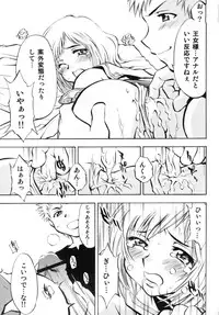 (C70) [Studio Wallaby (Nagisa Minami)] Ash no Ai (Final Fantasy XII)