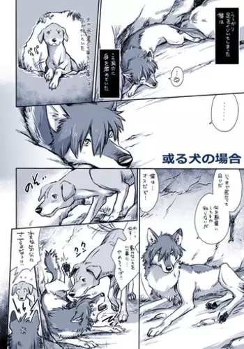 (Kemoket 3) [Souko Souji] Horsey Ending | 沦为淫马的后果 (MARE HOLIC 2) [Chinese][SK个人汉化]v2