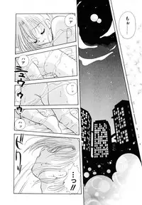 [Goto Hayako] Love Tambourine II