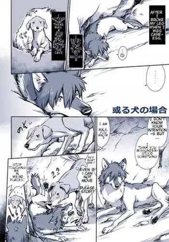(Kemoket 3) [Souko Souji] Horsey Ending | 沦为淫马的后果 (MARE HOLIC 2) [Chinese][SK个人汉化]v2
