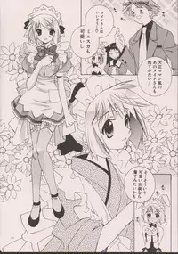 (C63) [TOTSUGEKI WOLF(Yuhki Mitsuru)] DENGEKI-KEI