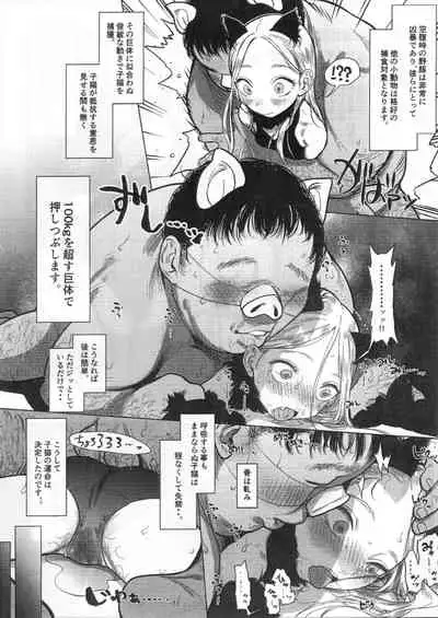 C97 Copy-bon