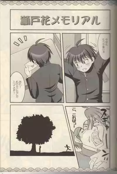 Seto no Hanamuko