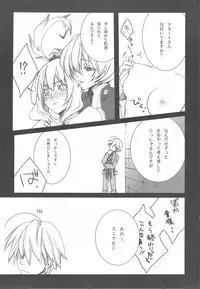 (C76) [Akai Tsubasa (Tachibana Chata)] .001 (Fantasy Earth ZERO)