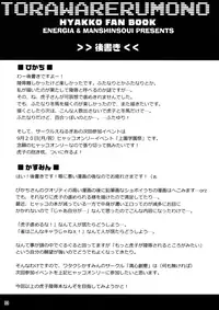 (C78) [Energia (Pikachi)] Torawareru Mono (Hyakko)