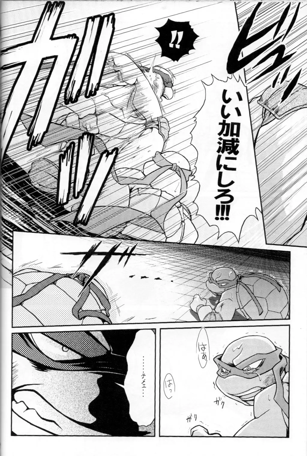 FALLEN - Raph vs Leo - Teenage Mutant Ninja Turtles, TMNT doujinshi