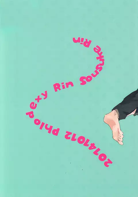 Möbius loop