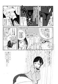 Flamingo R Vol.04