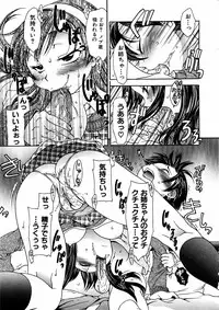 Comic Hime Dorobou 2006-11