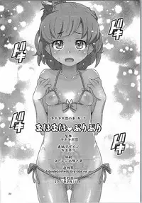 (C90) [Debodebodan (De)] MahoMaho PrePre (Mahou Tsukai Precure!)