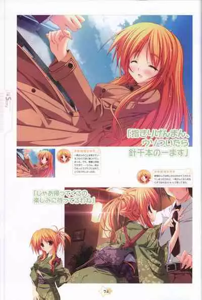 Hoshizora e Kakaru Hash visual fanbook
