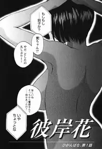 [Maeda Sengoku] Mrs. Link