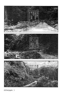 [Takashi Ishii] Maraque