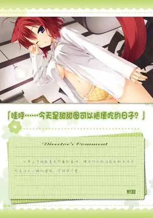 AMAIRO ISLENAUTS OFFICIAL VISUAL FAN BOOK