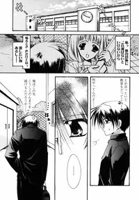 [Ryuga Syo] C no Kajitsu - A fruit of C