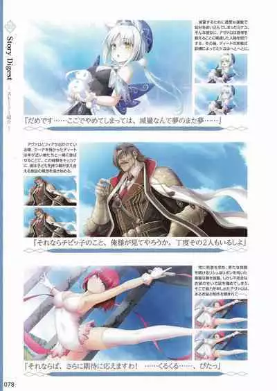 Amayui Labyrinth Meister Perfect Guidebook