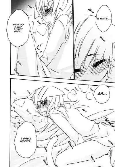 [Anthology] Puchi D VOL. 4 Kemonomimi [English] [DokiDoki]