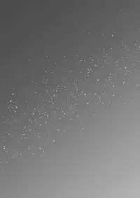 [203 (Gangi Mari)] Milk and Honey!