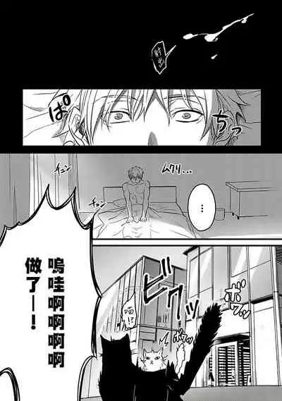 Hebi to Hoshikuzu | 蛇与群星